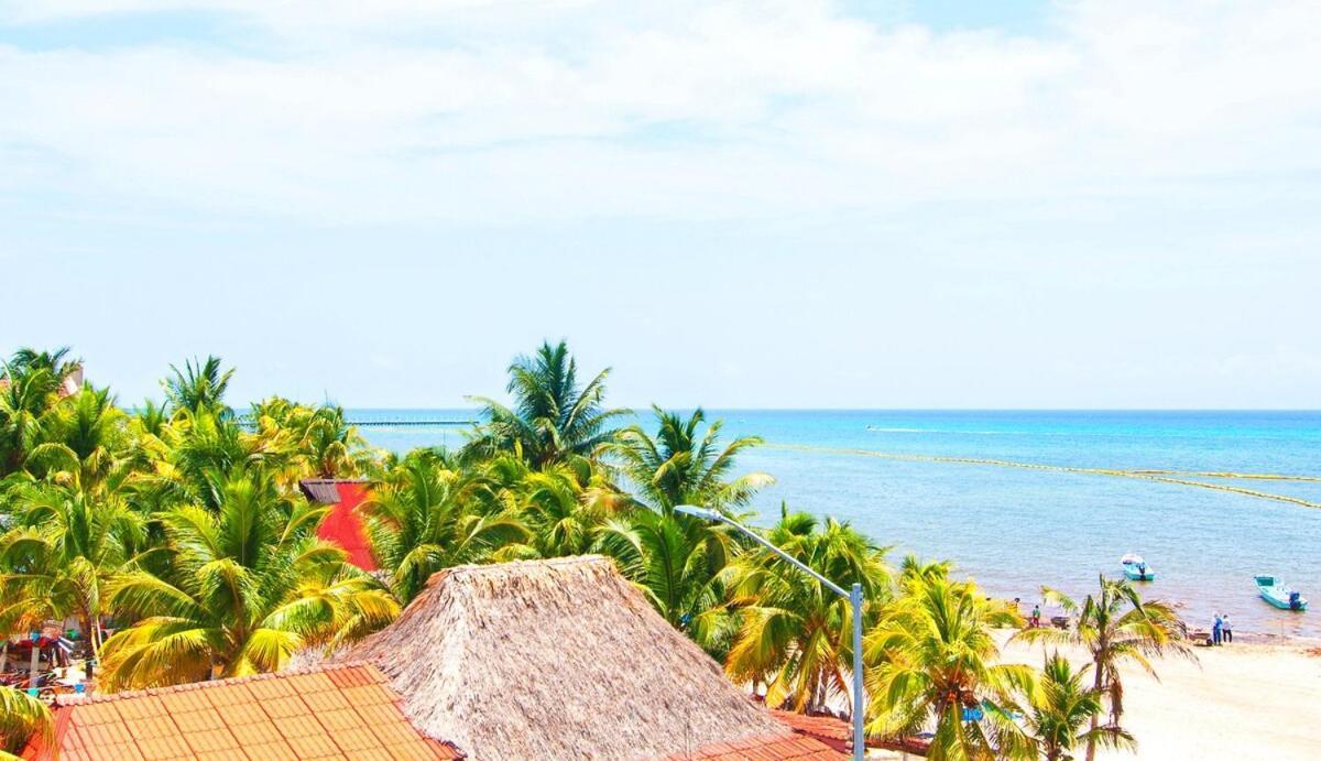 Beachfront 2br In Playa I Steps To 5th Ave! Apartamento
